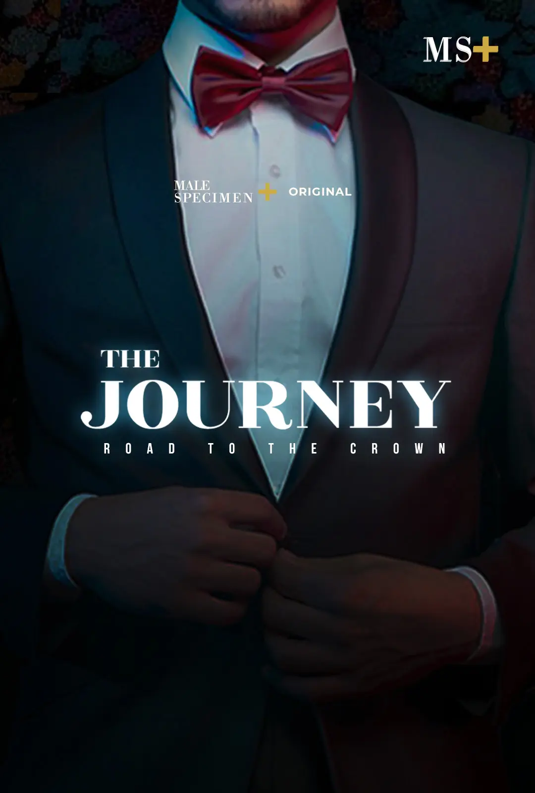 The Journey