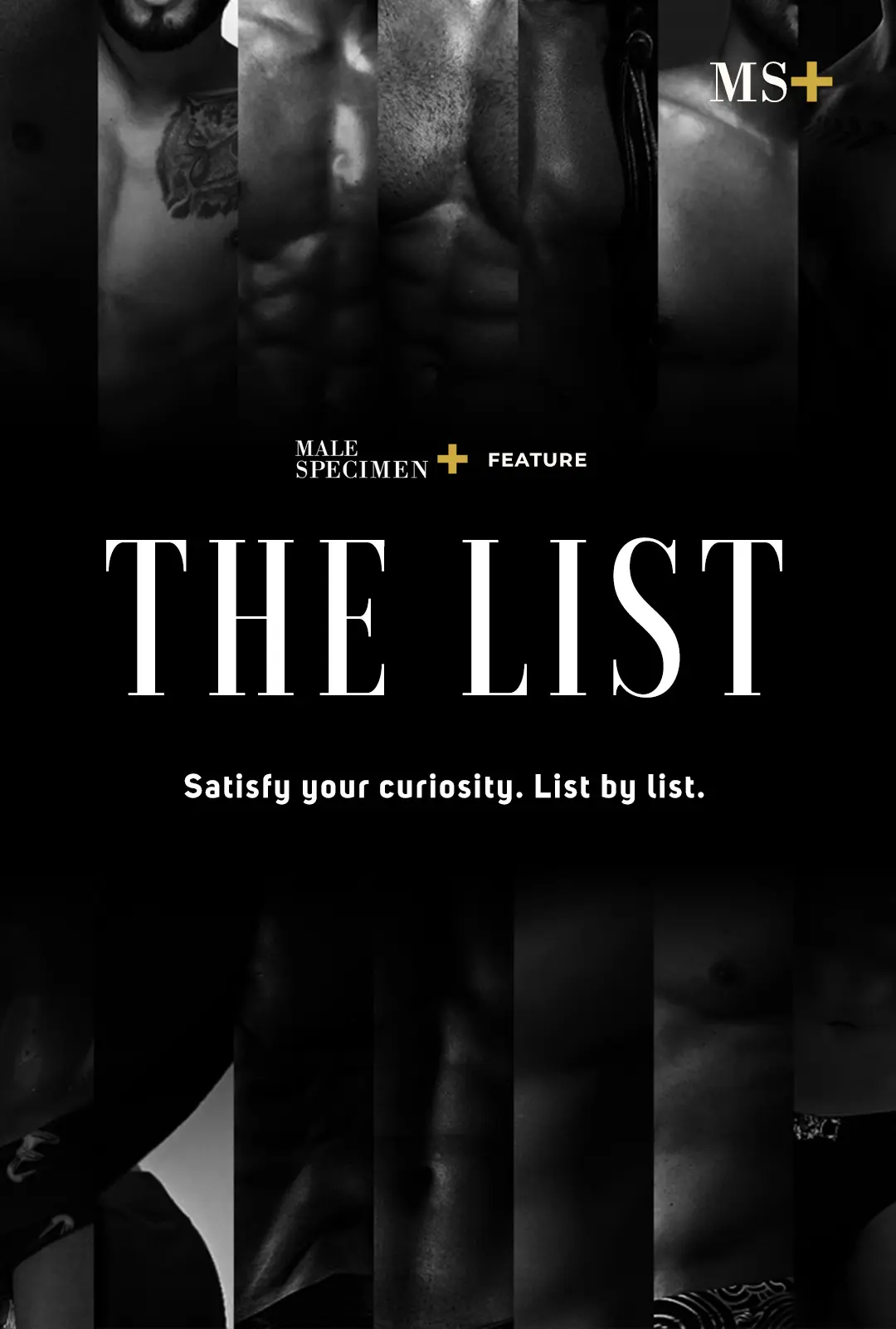 The List